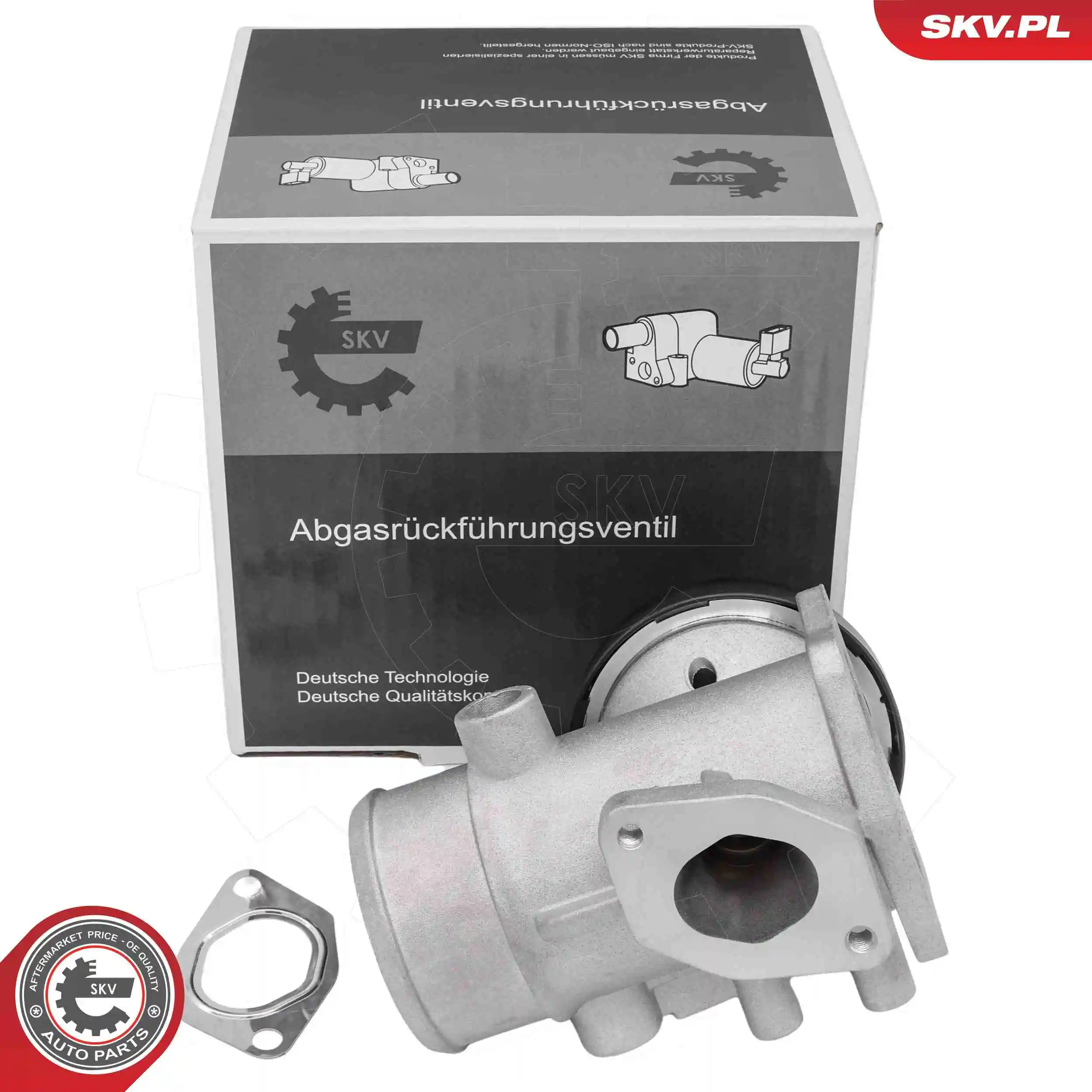 EGR Valve